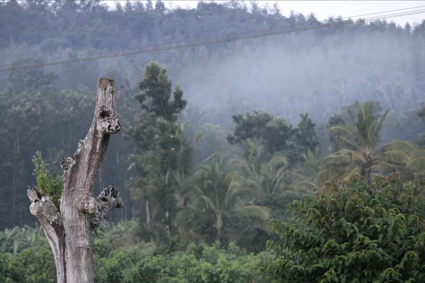 Photo of Coorg By Abhijeeth B R gowda