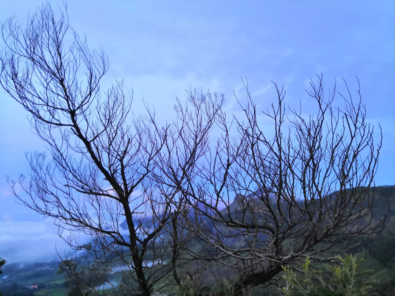 Photo of Meeshappulimala View Point By Jismon George