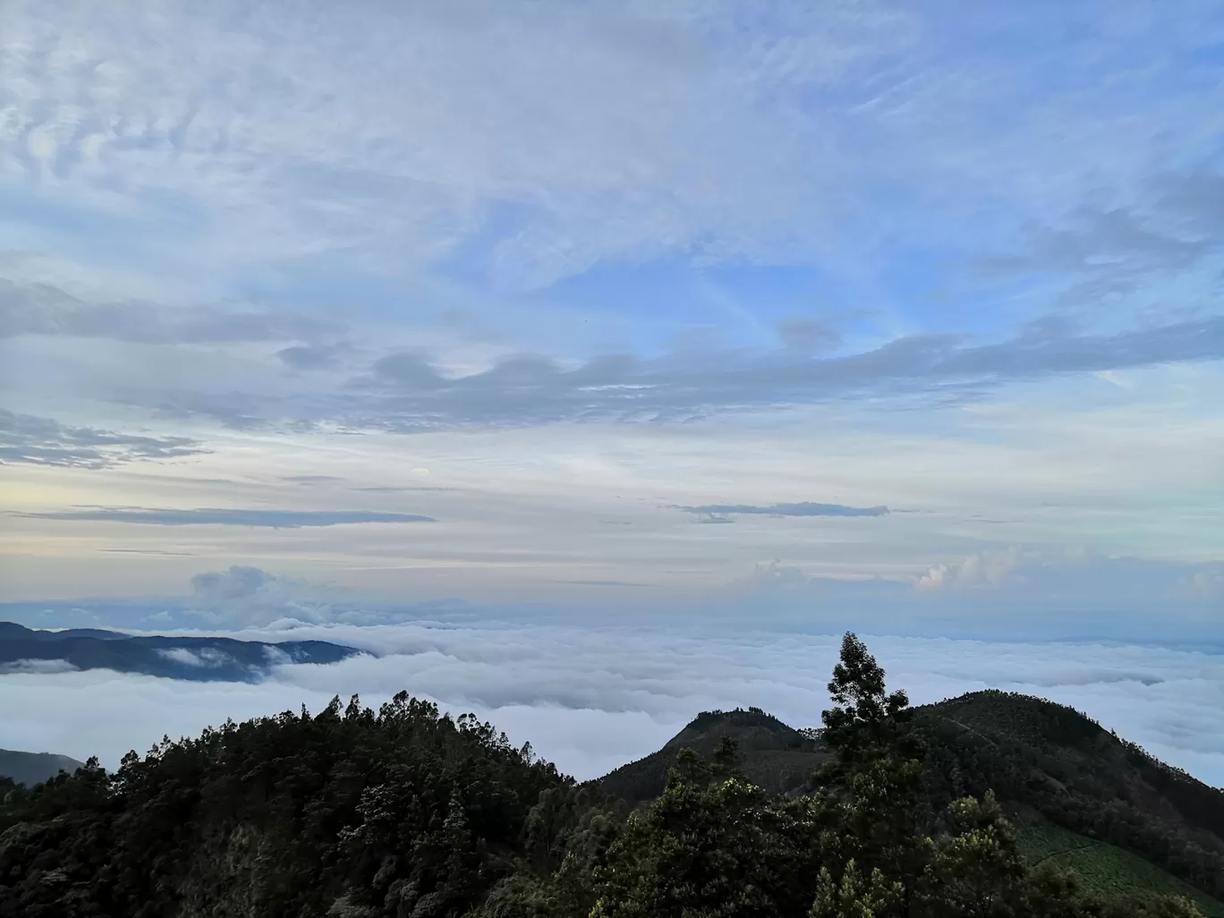 Photo of Meeshappulimala View Point By Jismon George