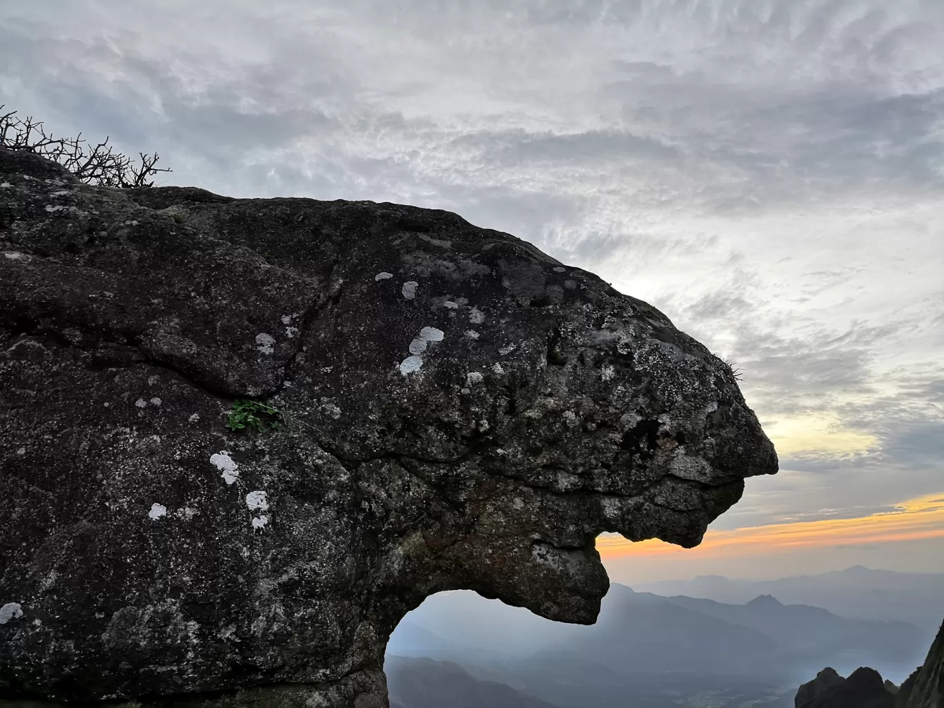 Photo of Meeshappulimala View Point By Jismon George