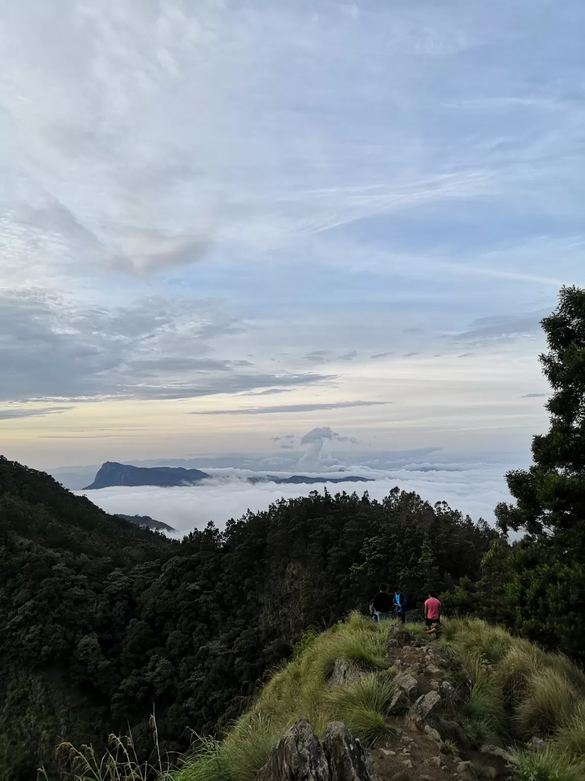 Photo of Meeshappulimala View Point By Jismon George