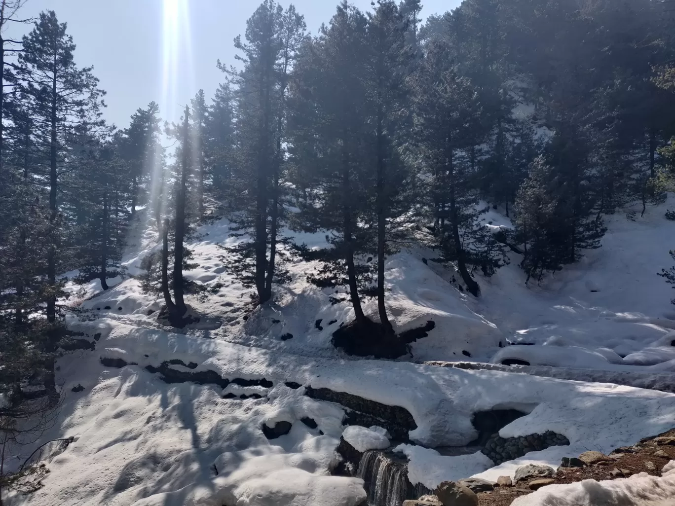 Photo of Gulmarg By Irma jojo