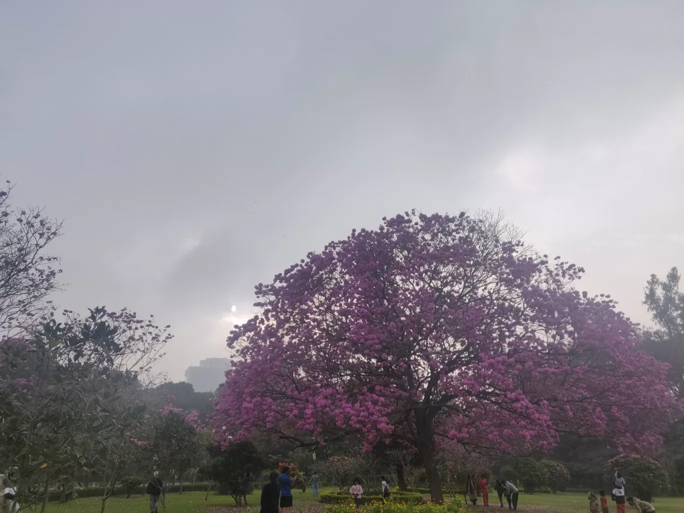 Photo of Cubbon Park By Irma jojo