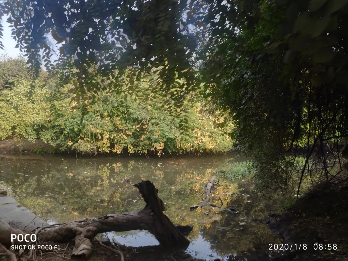 Photo of Club Mahindra Gir By Rajiv Singh