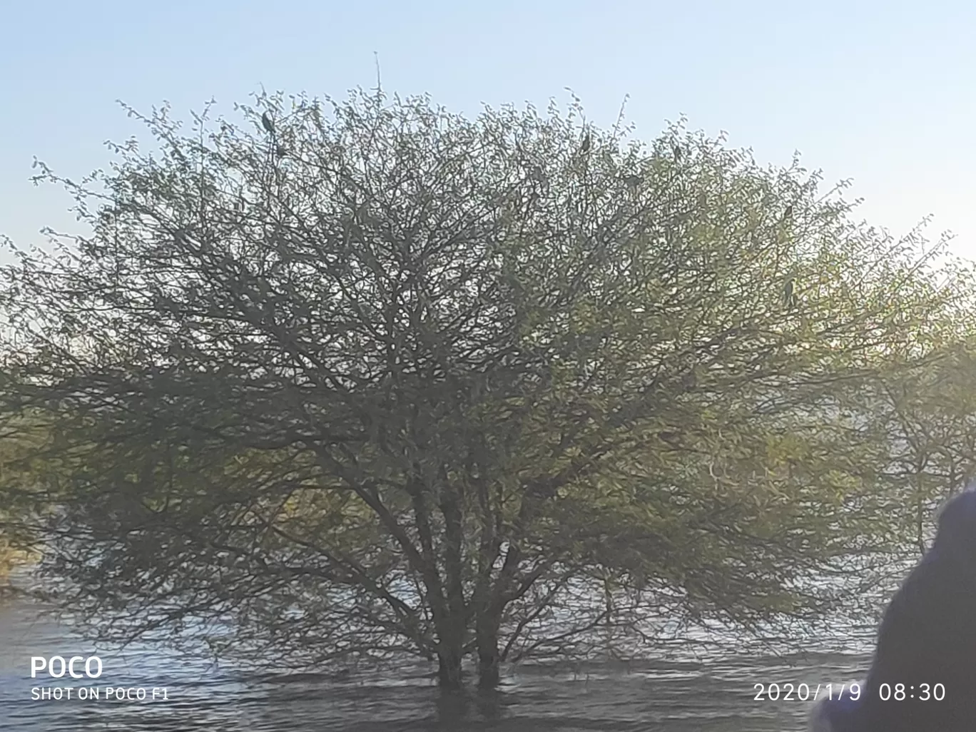 Photo of Club Mahindra Gir By Rajiv Singh
