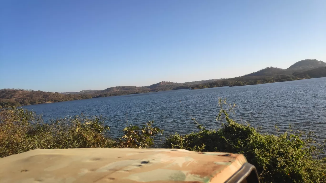 Photo of Club Mahindra Gir By Rajiv Singh