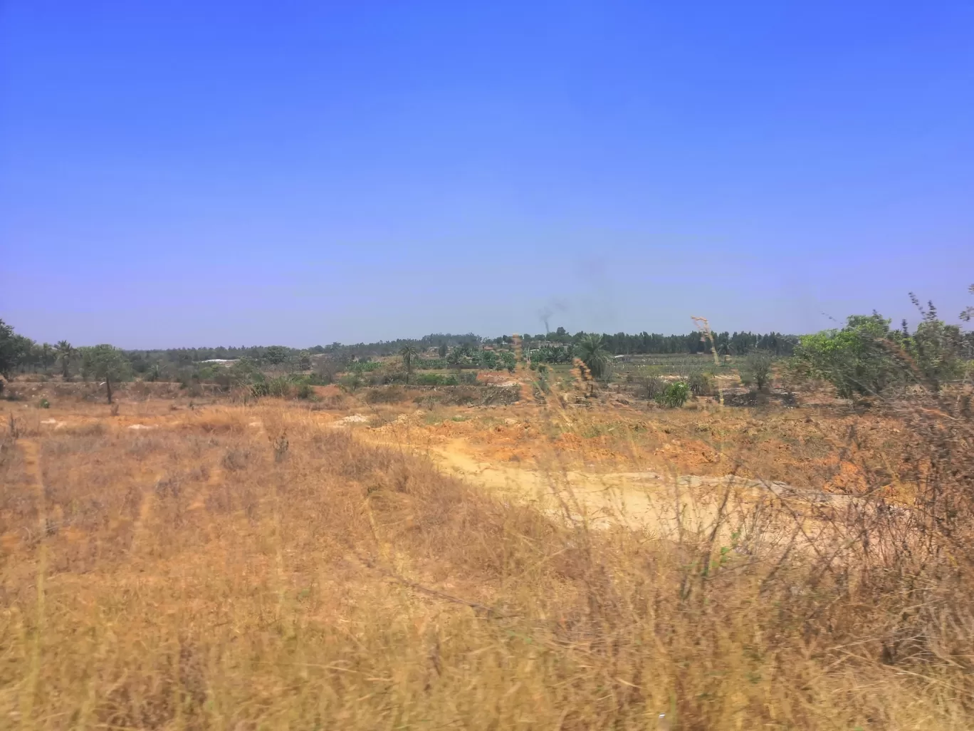 Photo of Bangalore By Fernweh