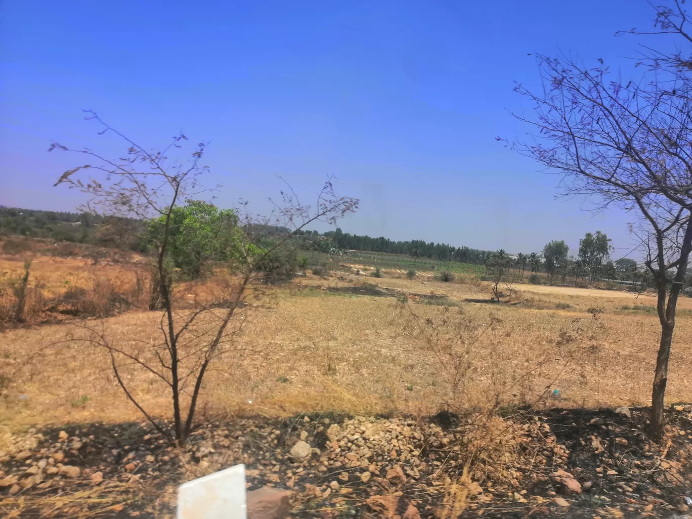 Photo of Bangalore By Fernweh