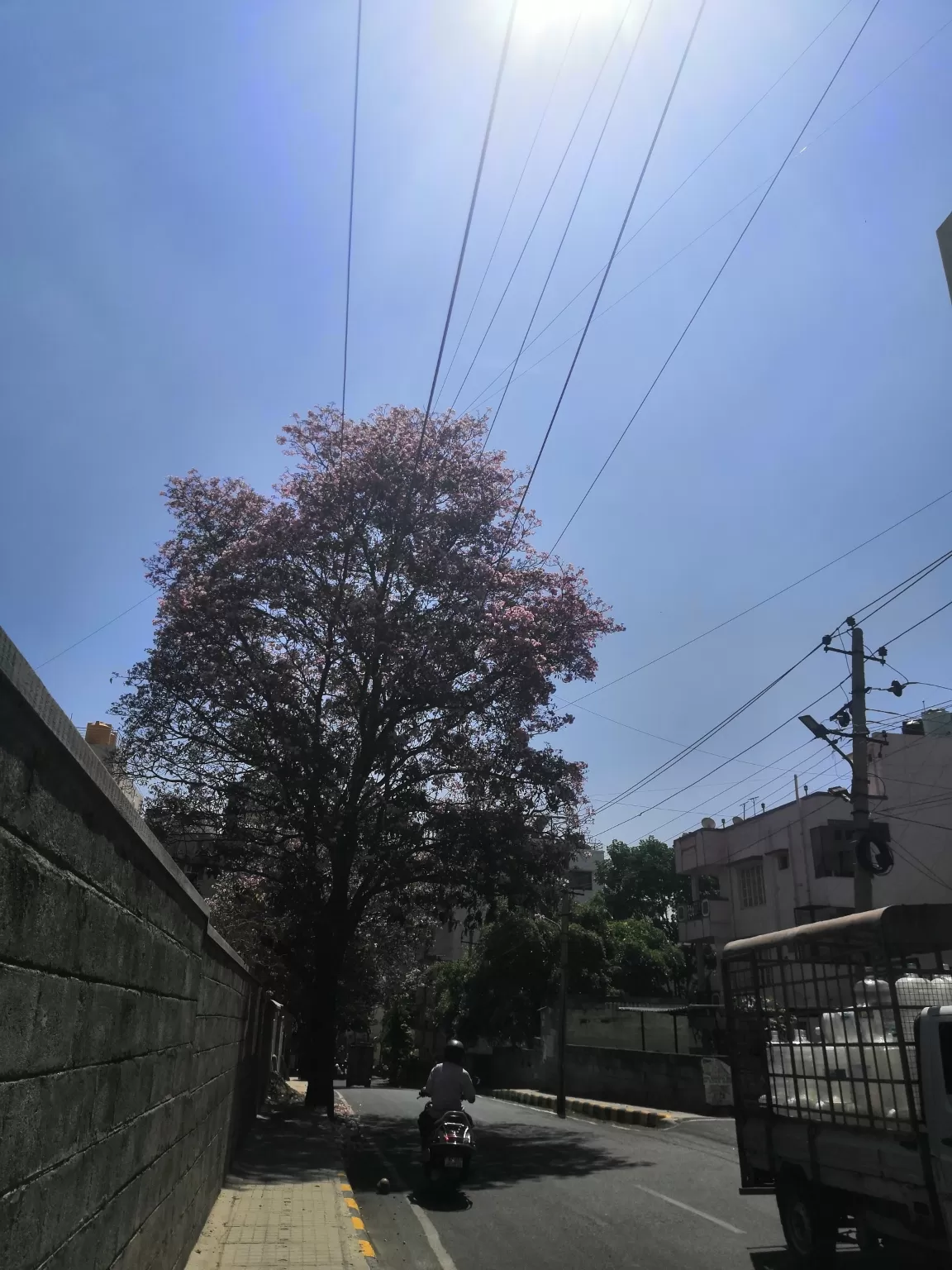 Photo of Bangalore By Fernweh