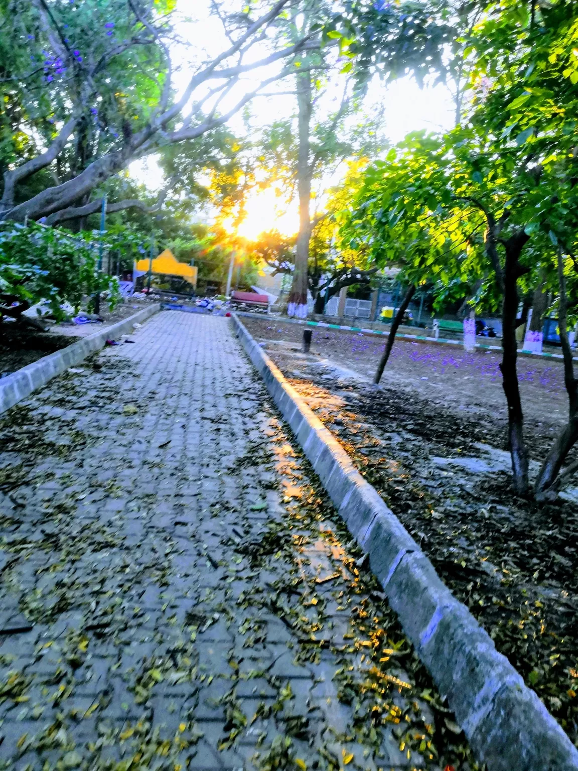 Photo of Bangalore By Fernweh