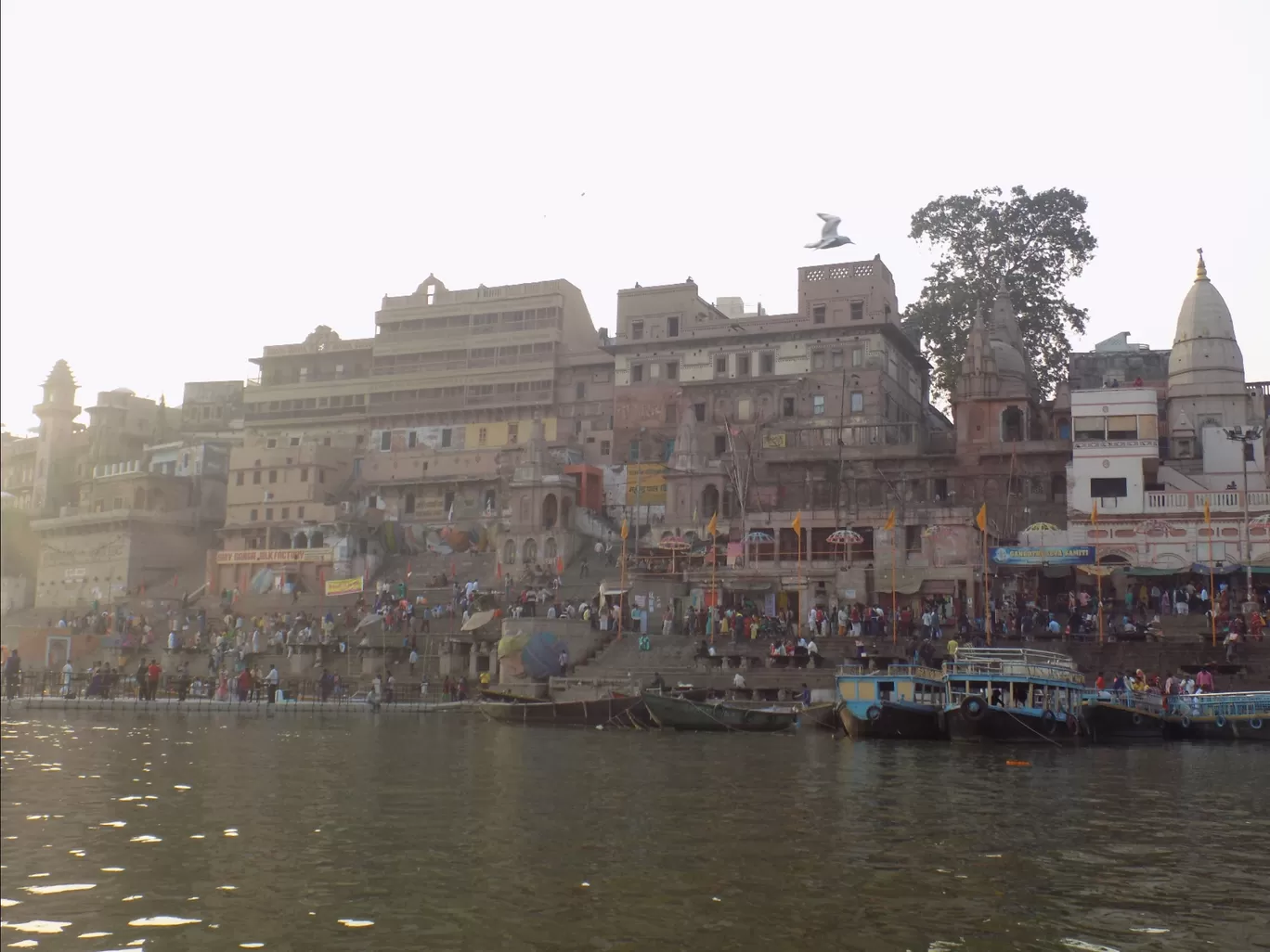 Photo of Capital O 36426 Brindaban By vicky kumar
