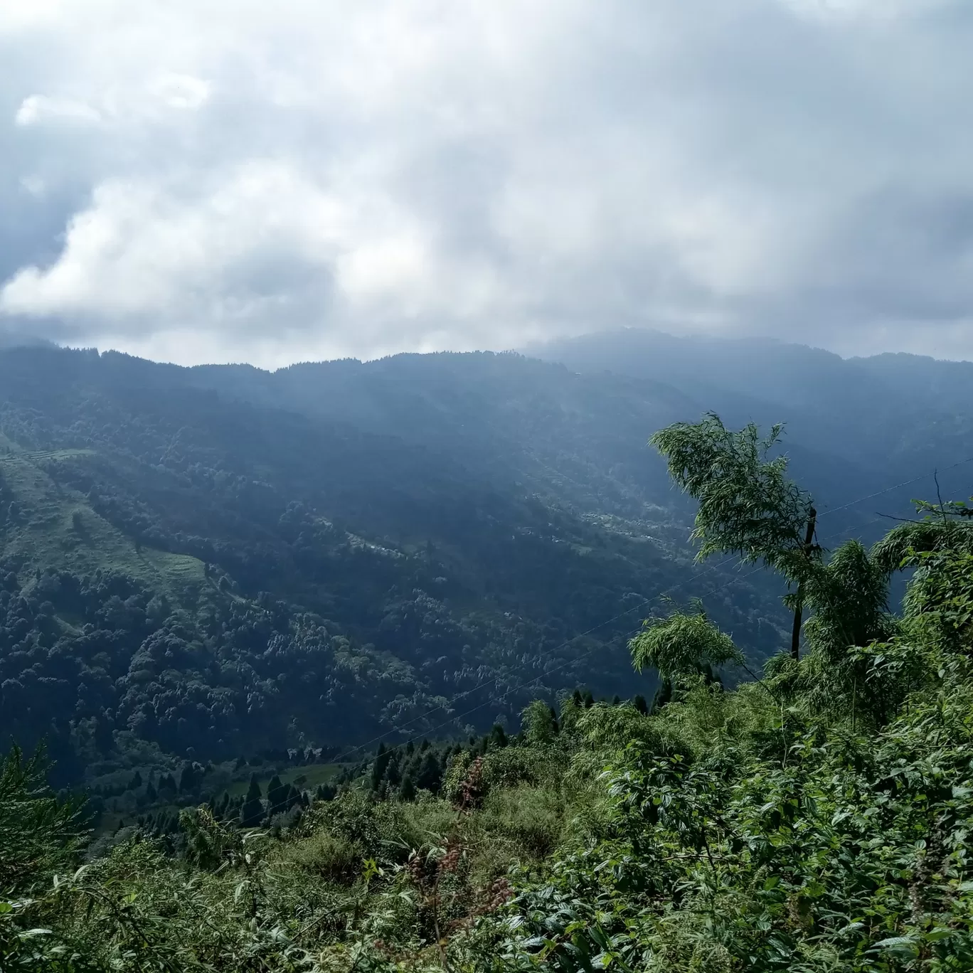 Photo of Sandakphu By Sourav Paul