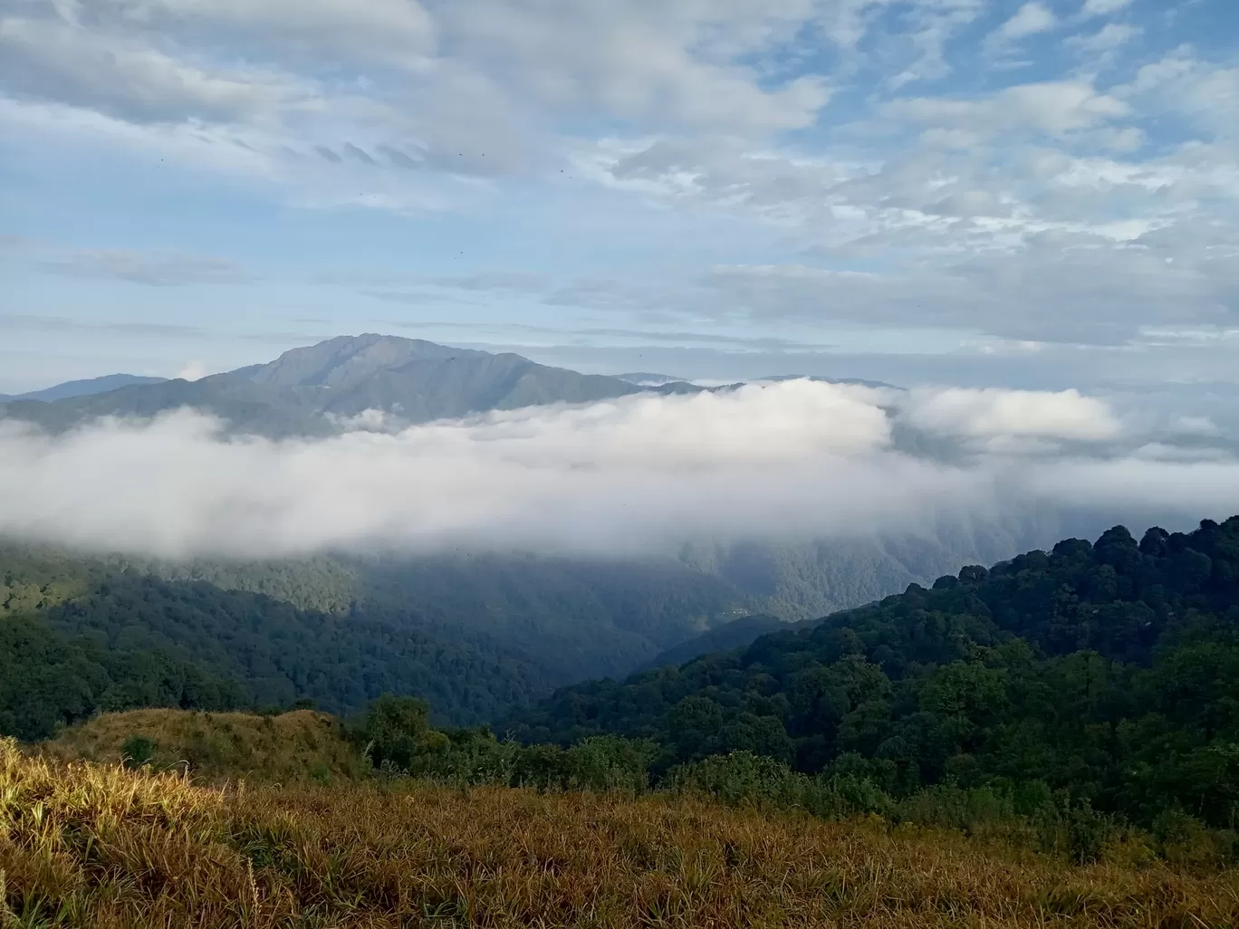 Photo of Sandakphu By Sourav Paul