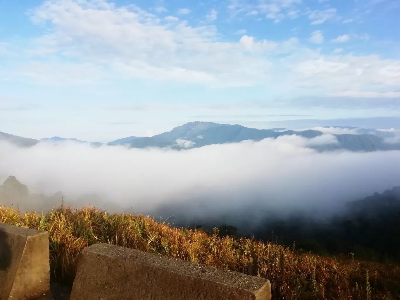 Photo of Sandakphu By Sourav Paul