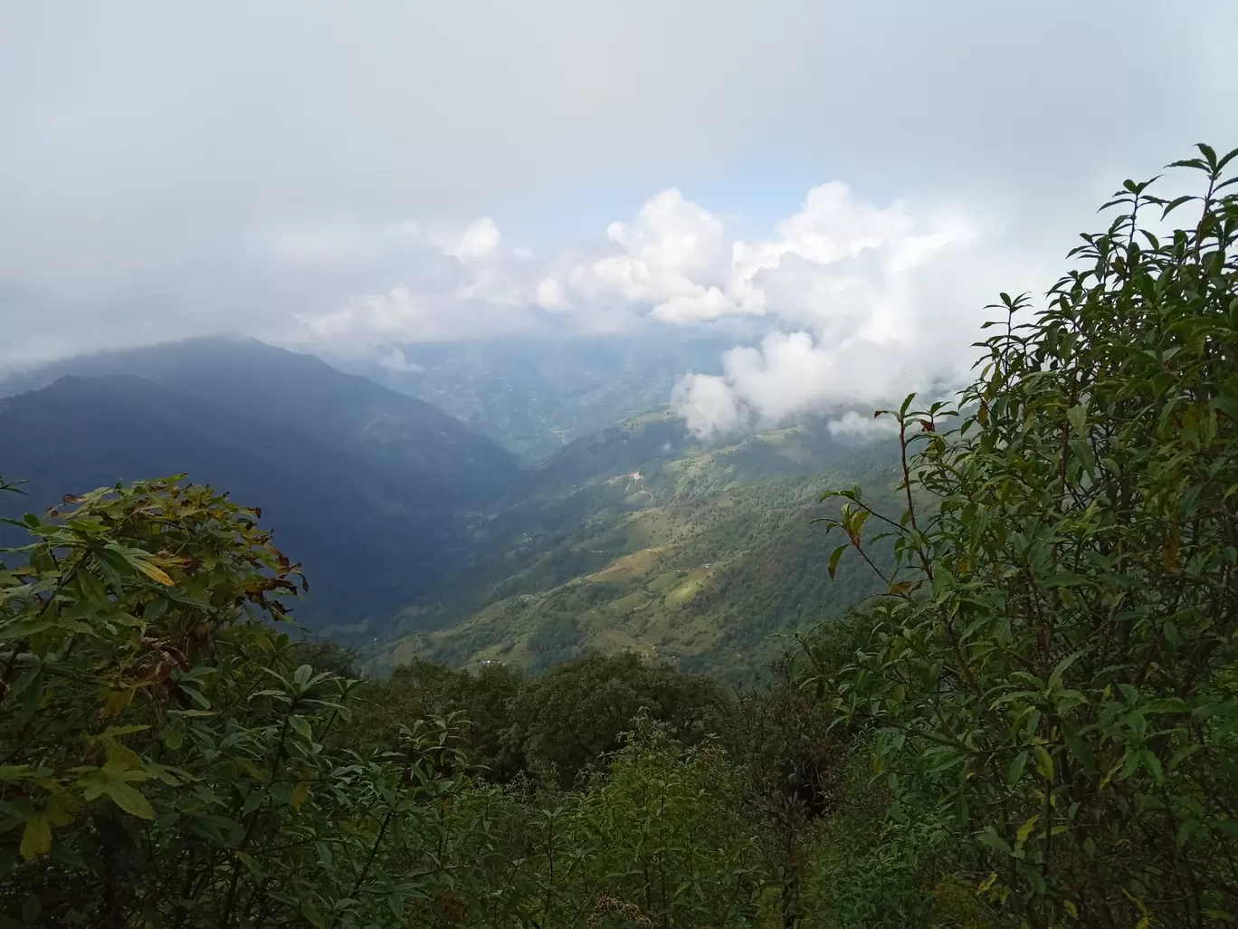 Photo of Sandakphu By Sourav Paul