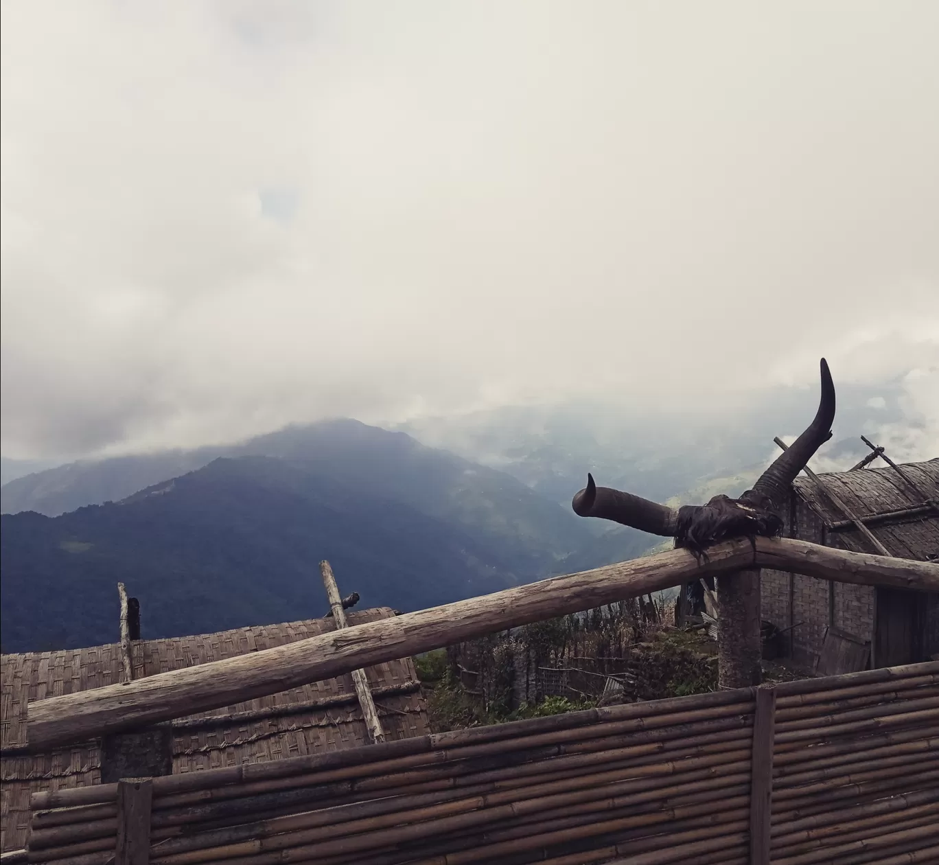 Photo of Sandakphu By Sourav Paul