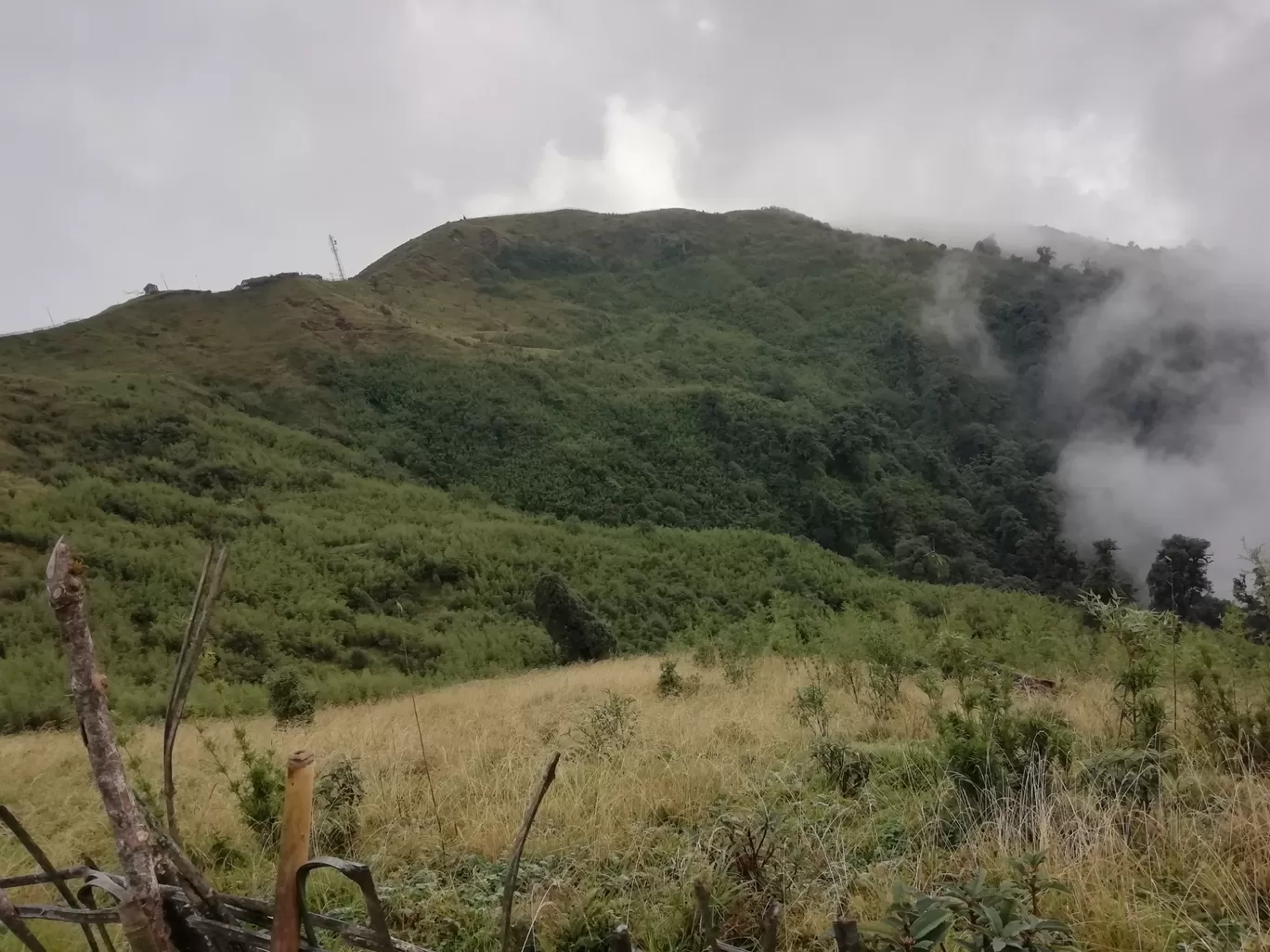 Photo of Sandakphu By Sourav Paul