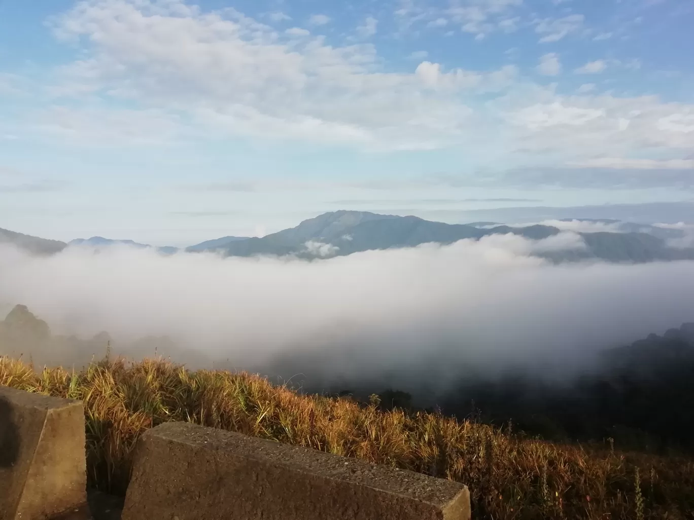 Photo of Sandakphu By Sourav Paul