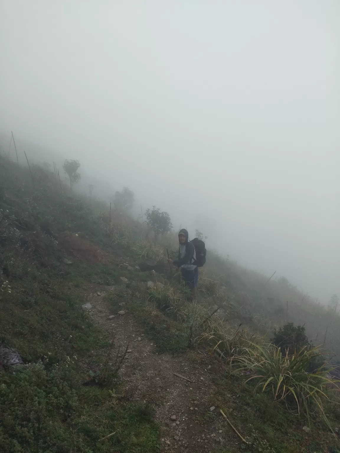 Photo of Sandakphu By Sourav Paul