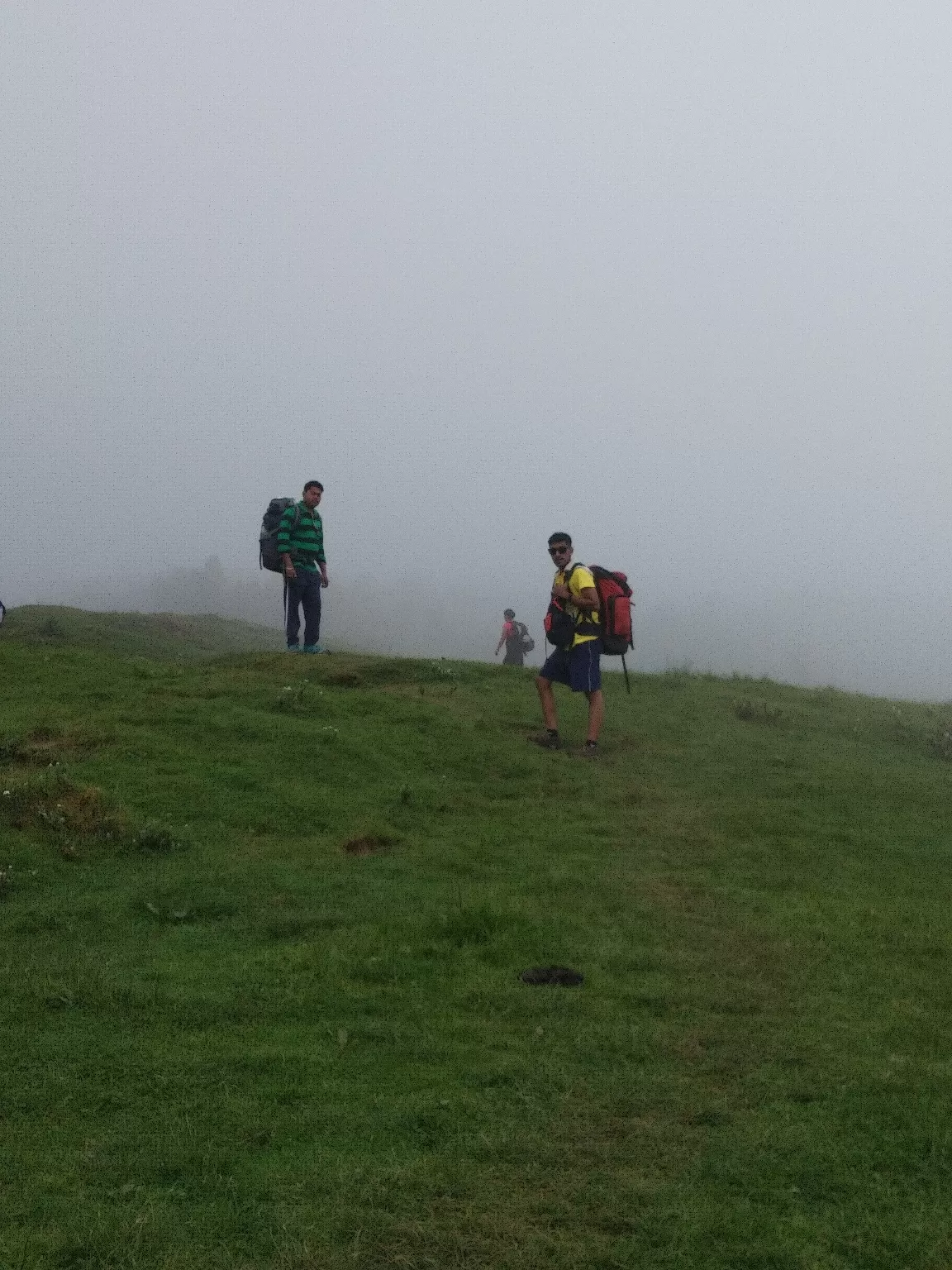 Photo of Sandakphu By Sourav Paul