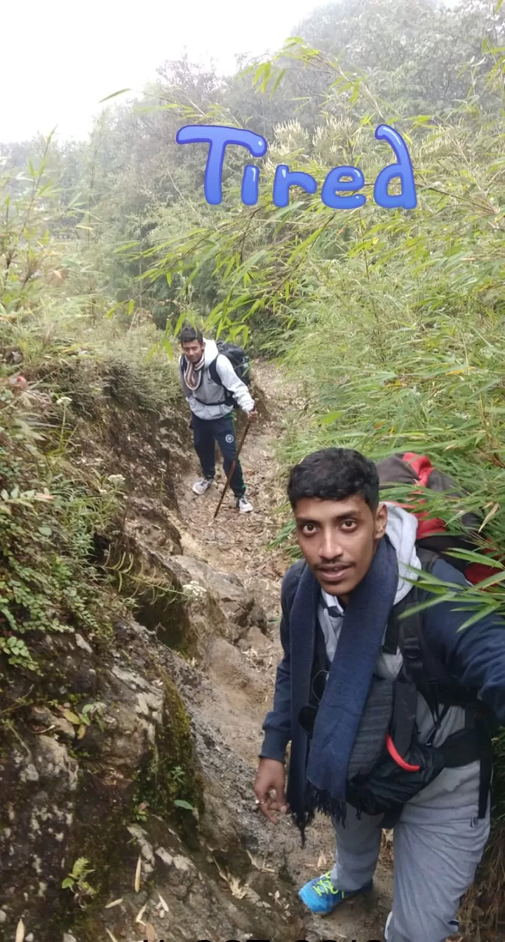 Photo of Sandakphu By Sourav Paul