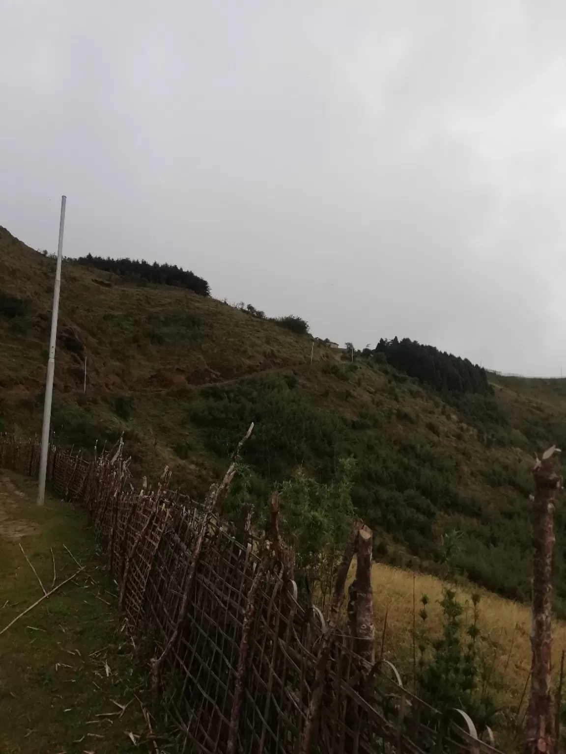 Photo of Sandakphu By Sourav Paul