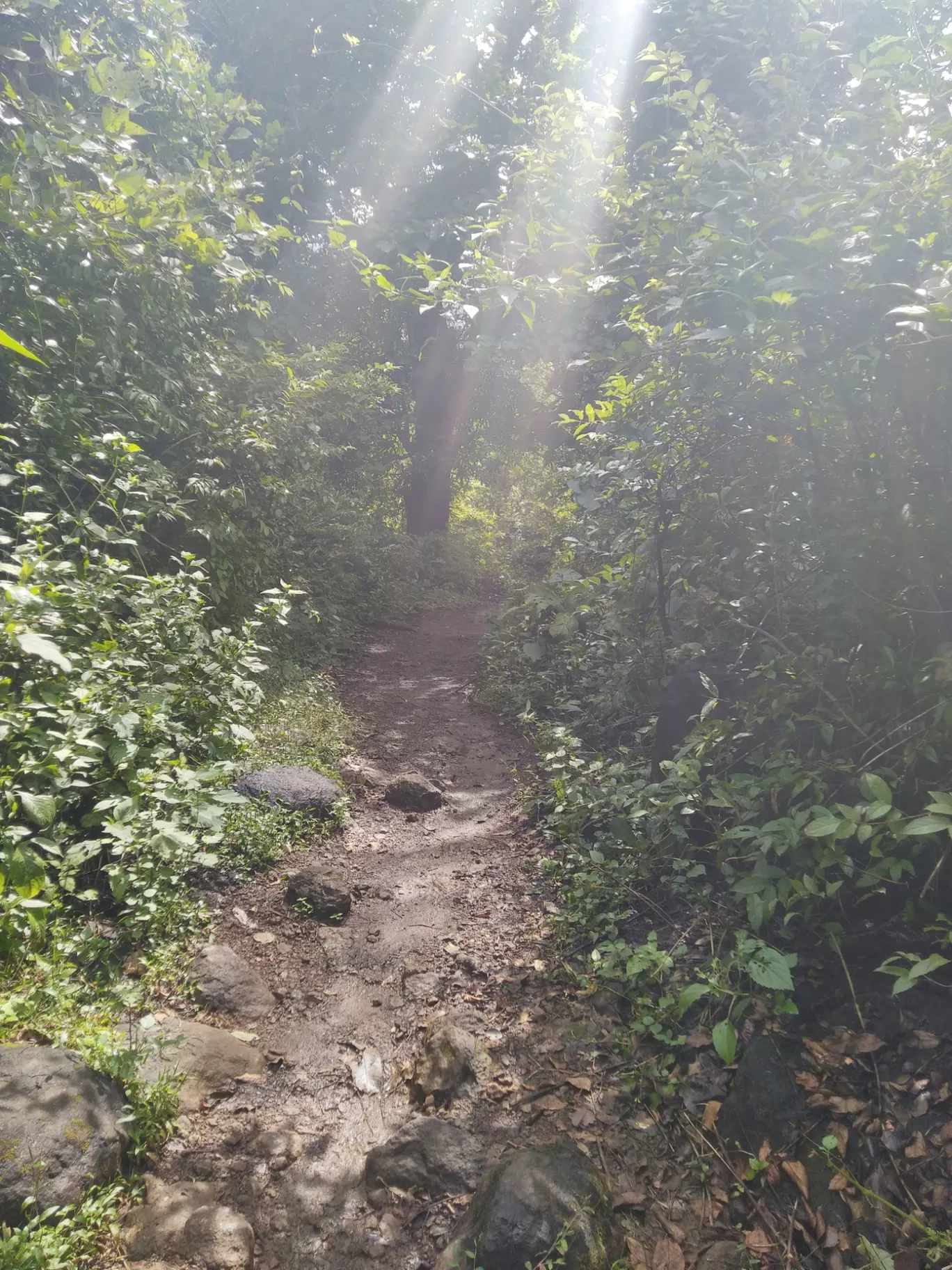 Photo of Karjat By CSF films