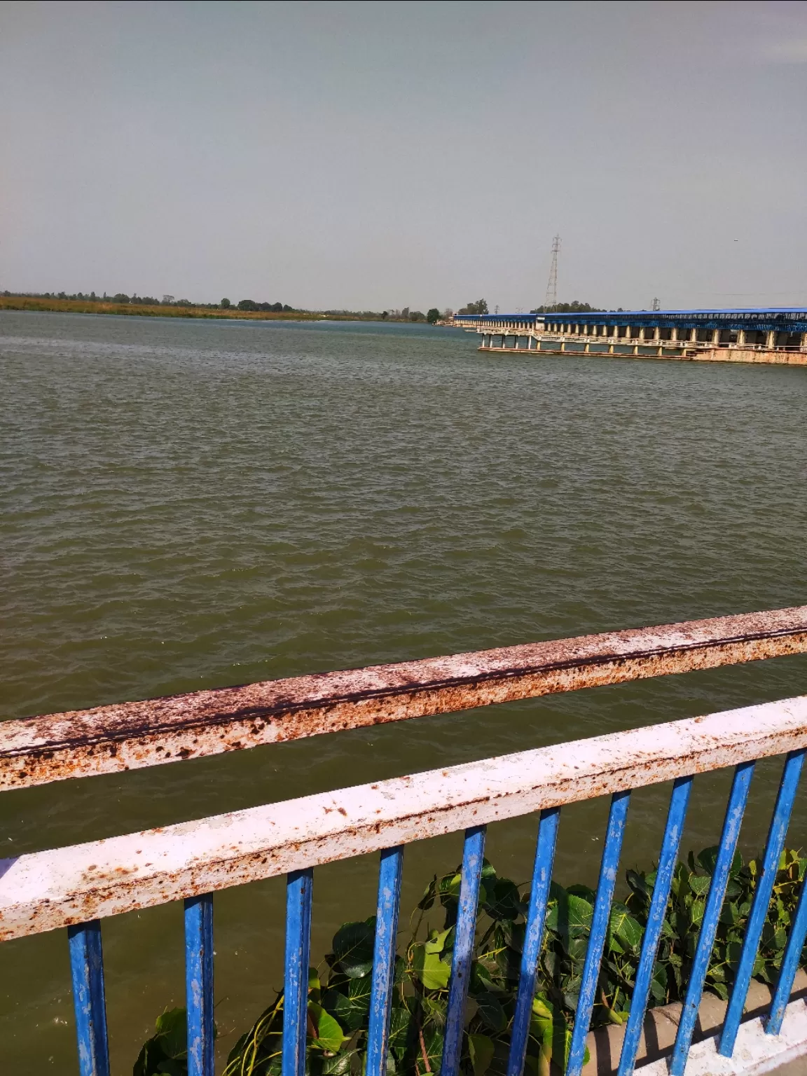 Photo of Narora Ganga River Bank By Ronit Singh