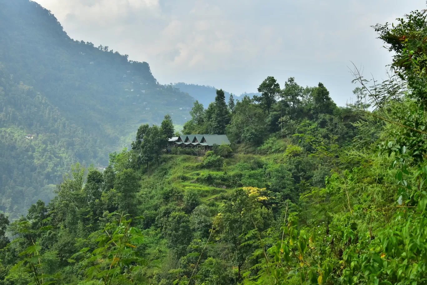 Photo of Kolakham By পল্লব রায়চৌধুরী