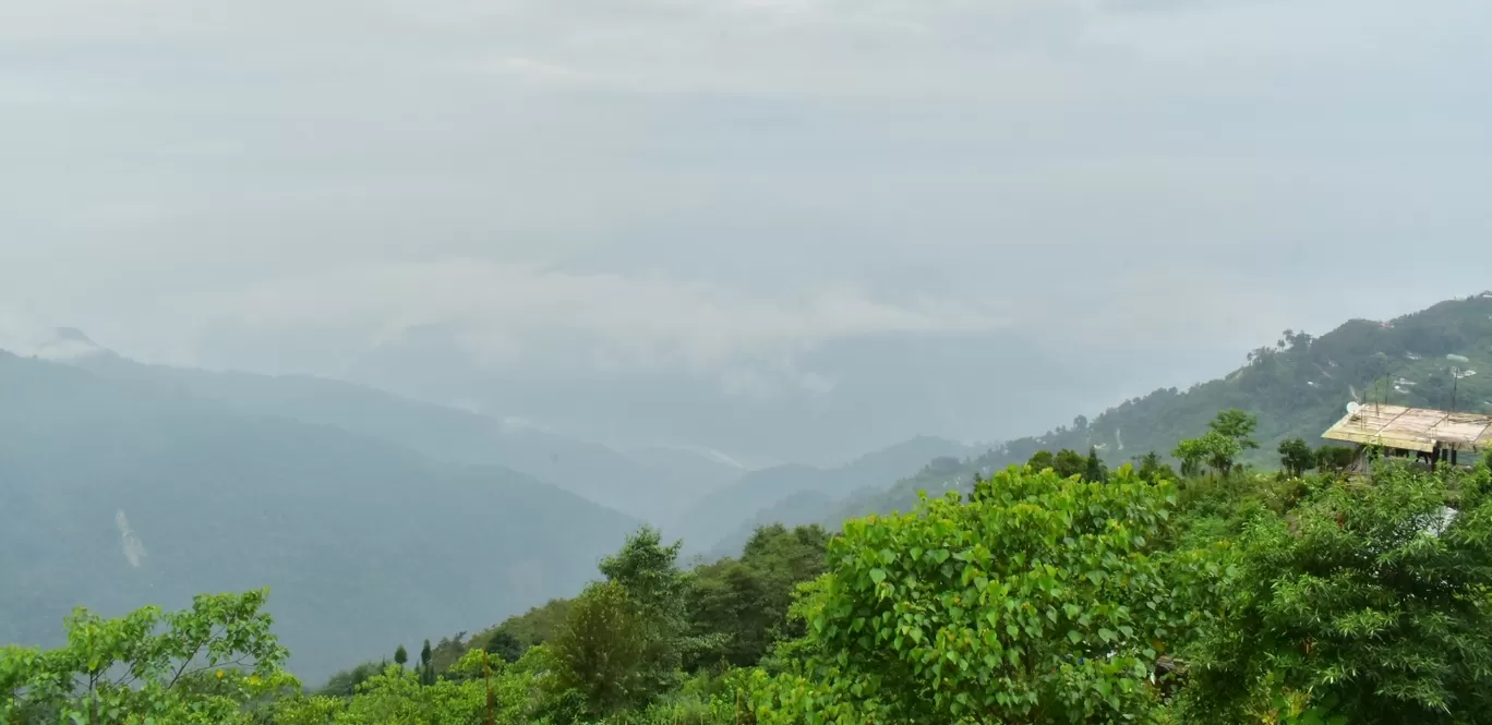 Photo of Kolakham By পল্লব রায়চৌধুরী