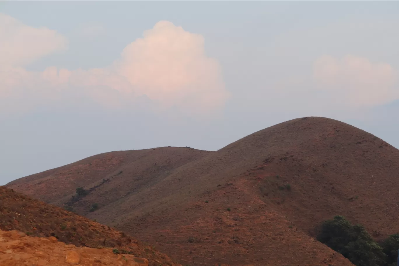 Photo of Mandalpatti Peak By Vignesh R