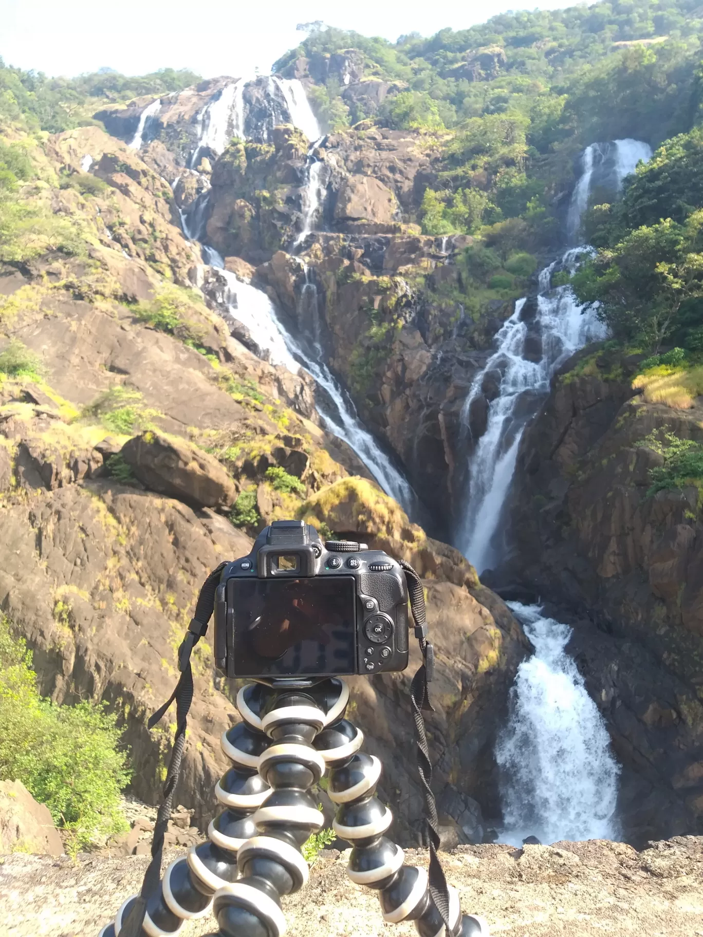 Photo of Dudhsagar Falls By Dhanraj Pattanashetti 