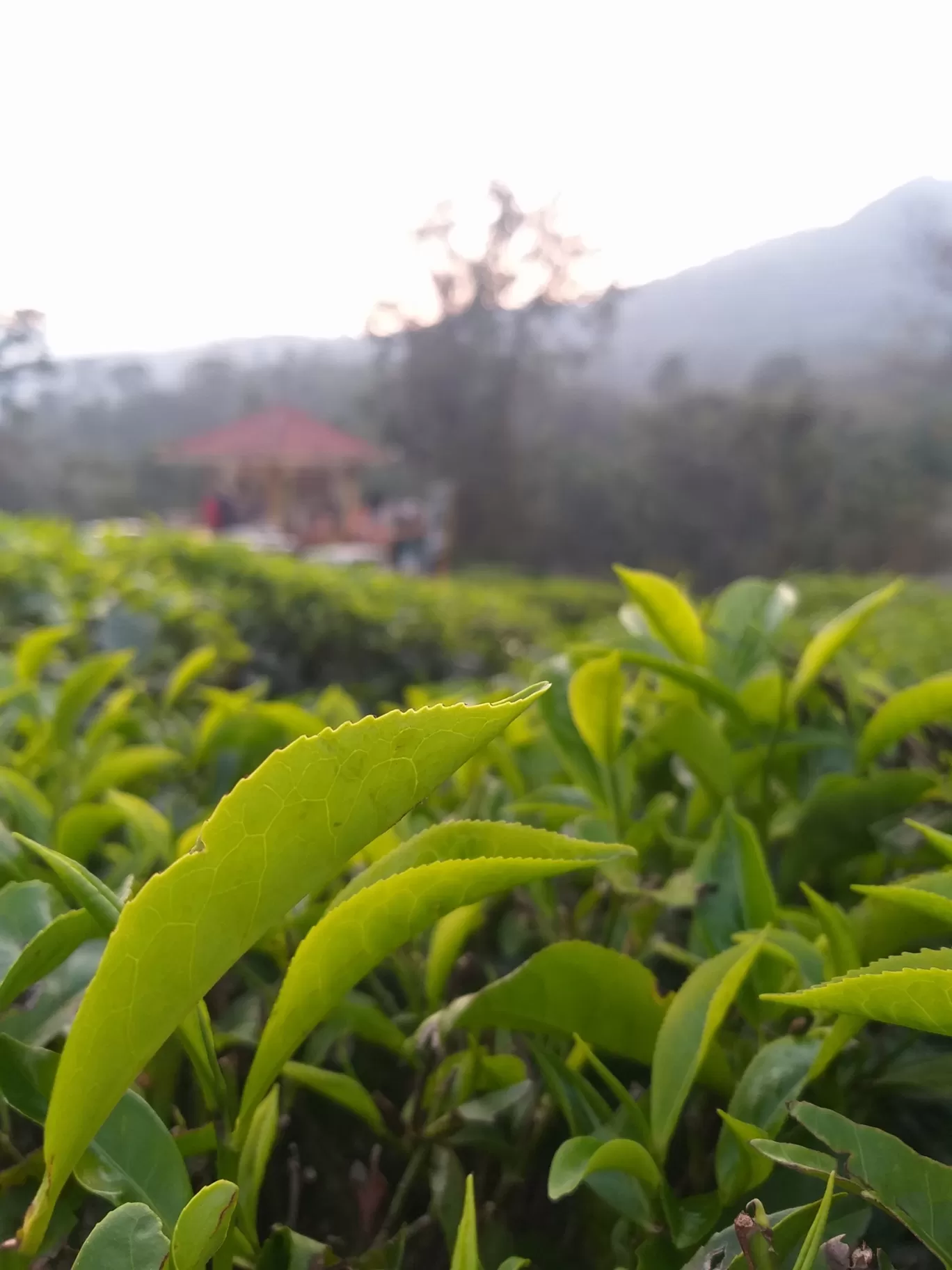 Photo of Dharmasthala By Dhanraj Pattanashetti 