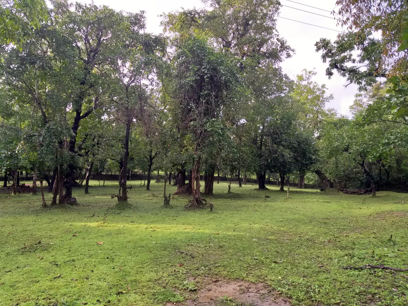 Photo of Banavasi By Dhanraj Pattanashetti 