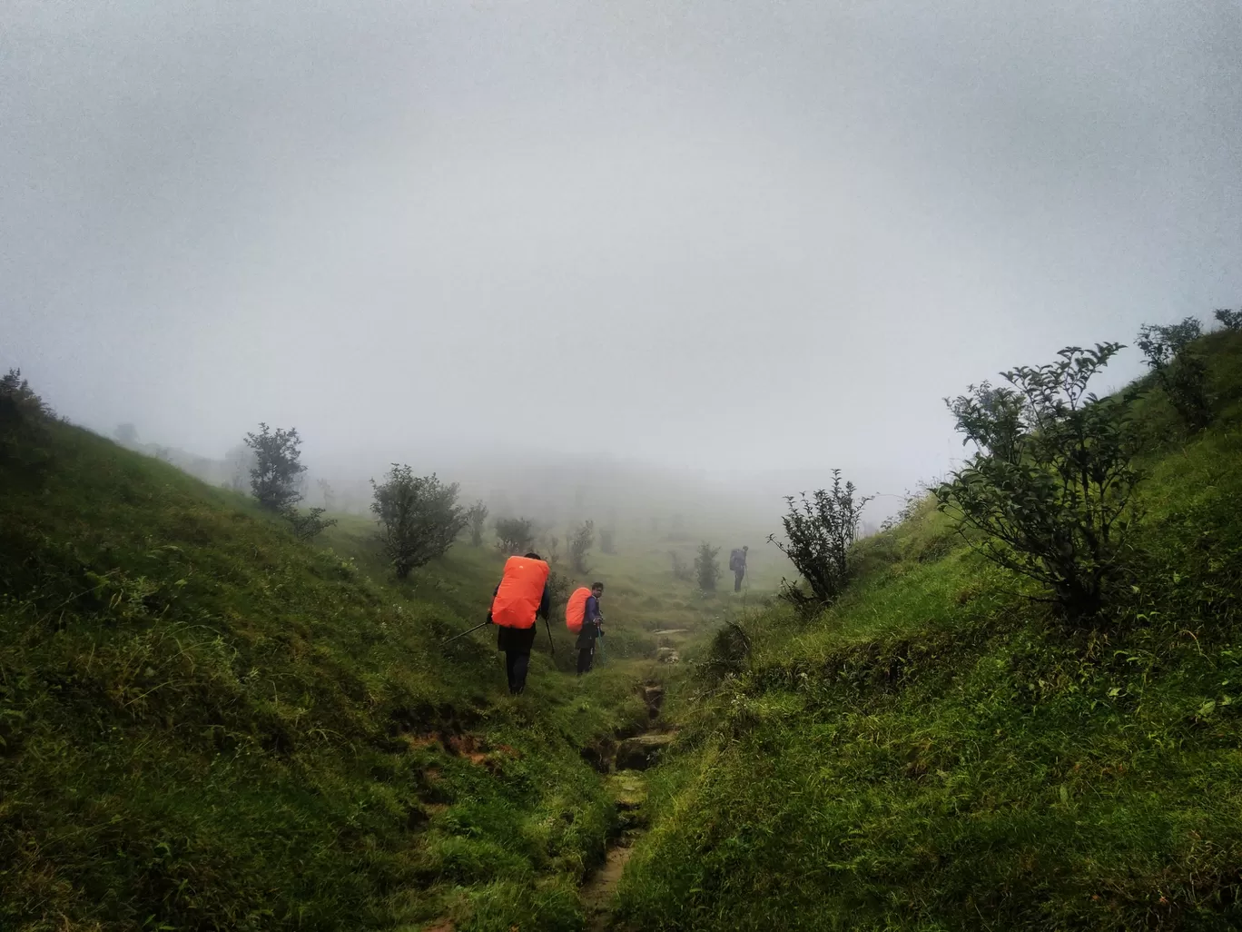 Photo of Sandakphu By aTravelerlife