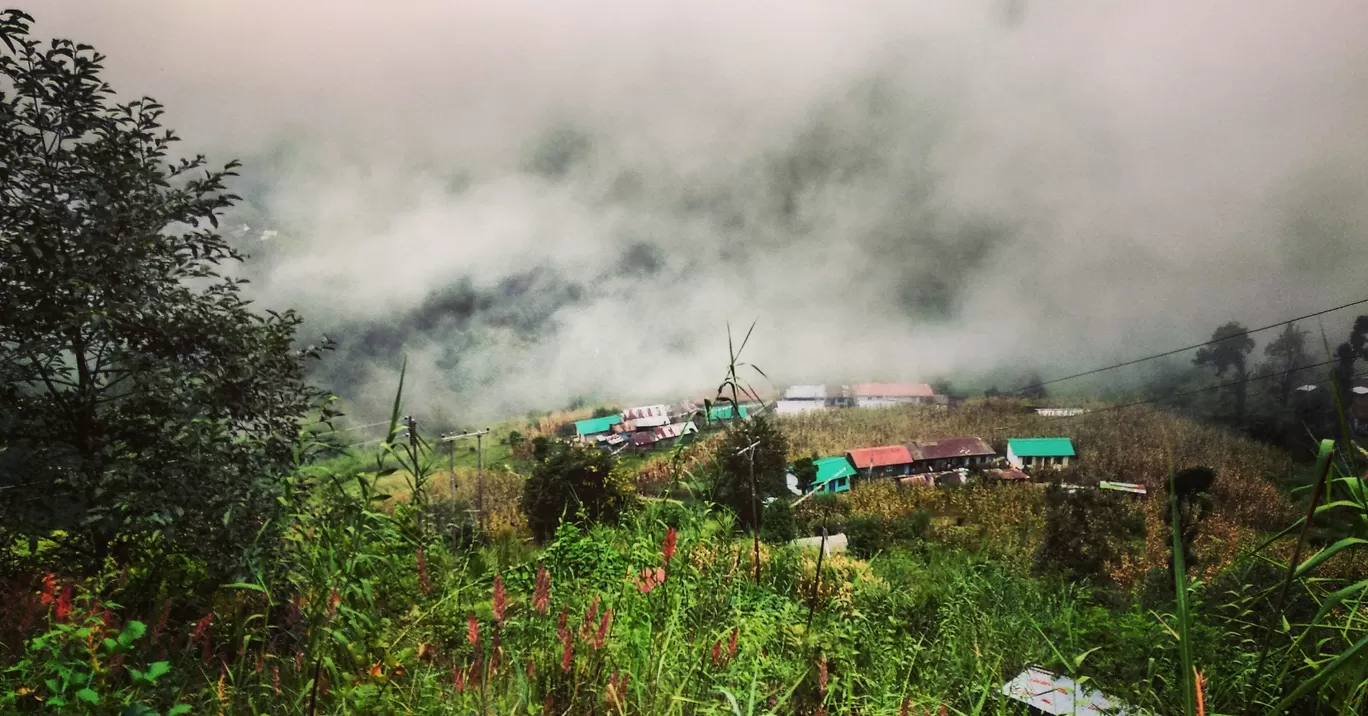 Photo of Sandakphu By aTravelerlife