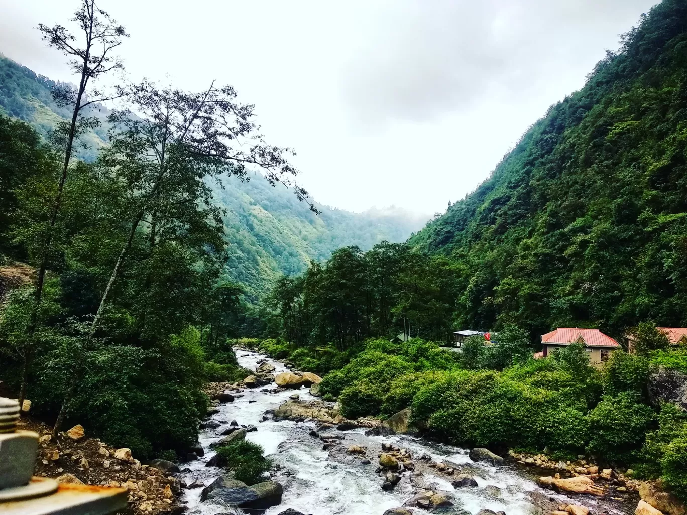 Photo of Sandakphu By aTravelerlife