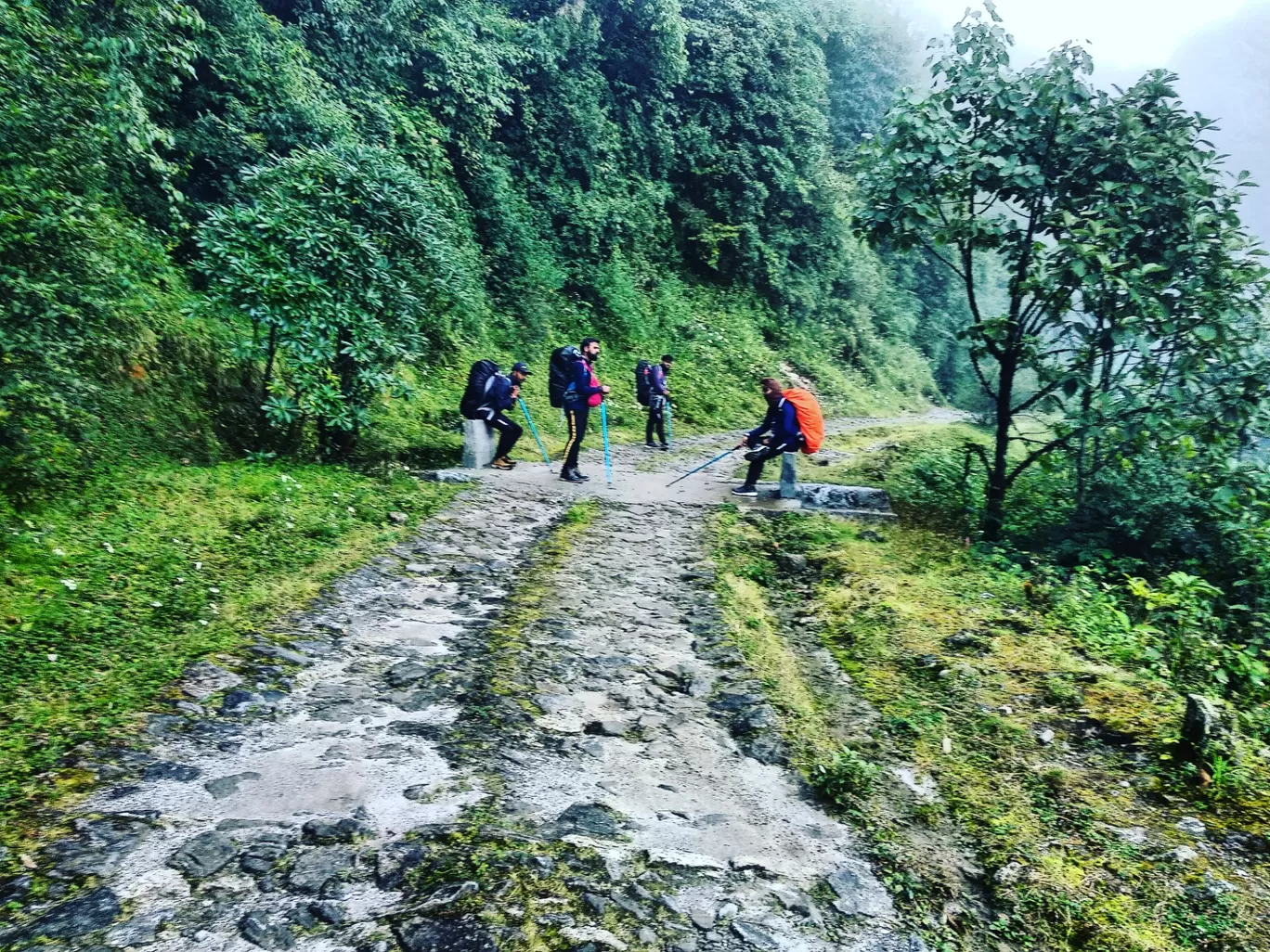 Photo of Sandakphu By aTravelerlife