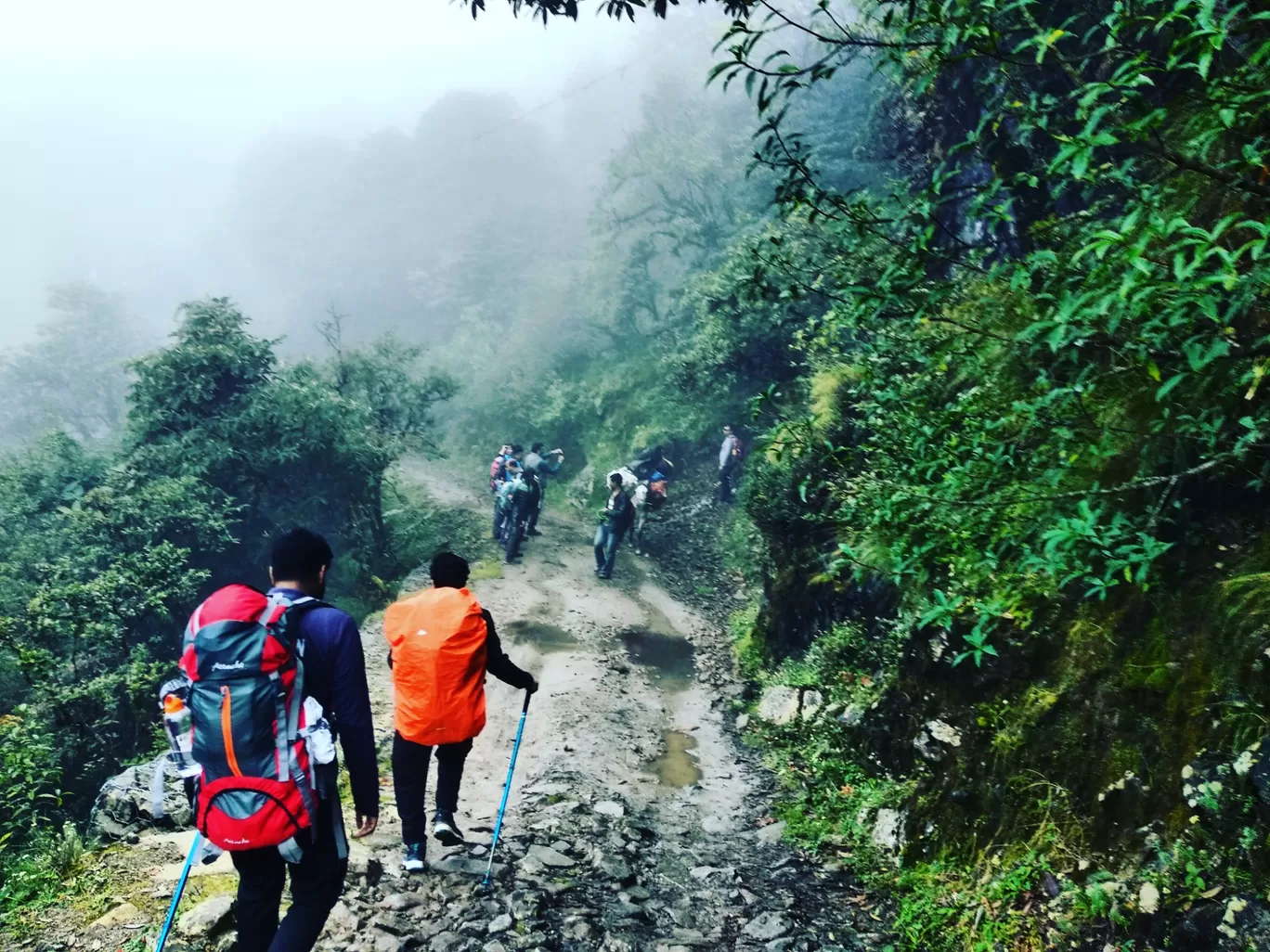 Photo of Sandakphu By aTravelerlife