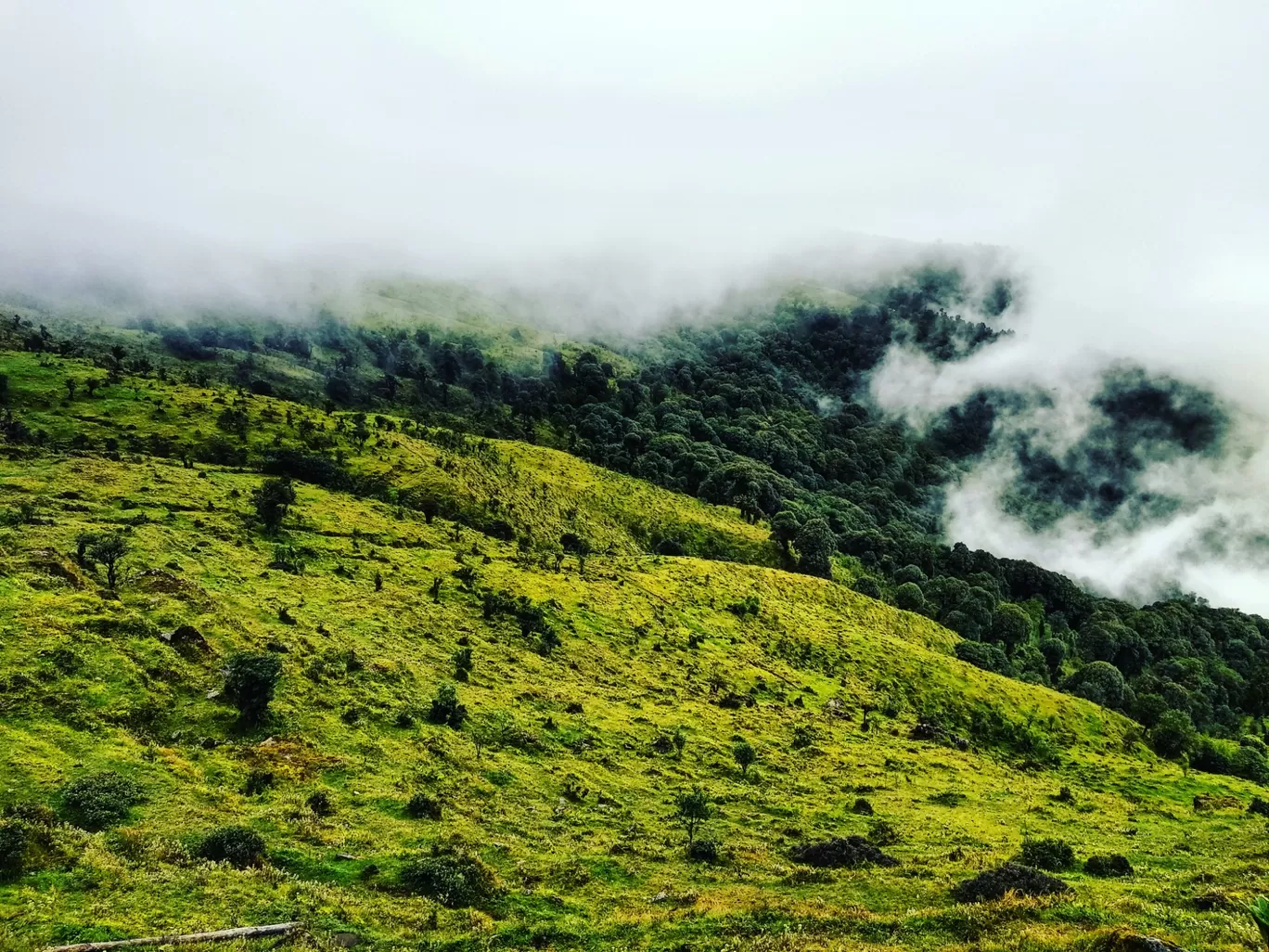 Photo of Sandakphu By aTravelerlife