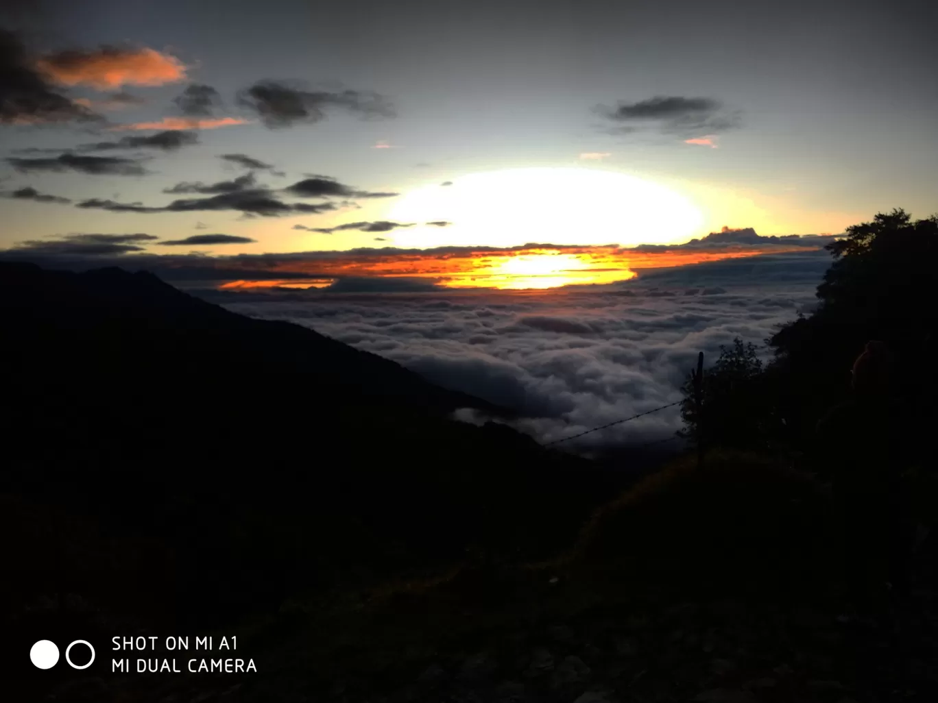 Photo of Sandakphu By aTravelerlife