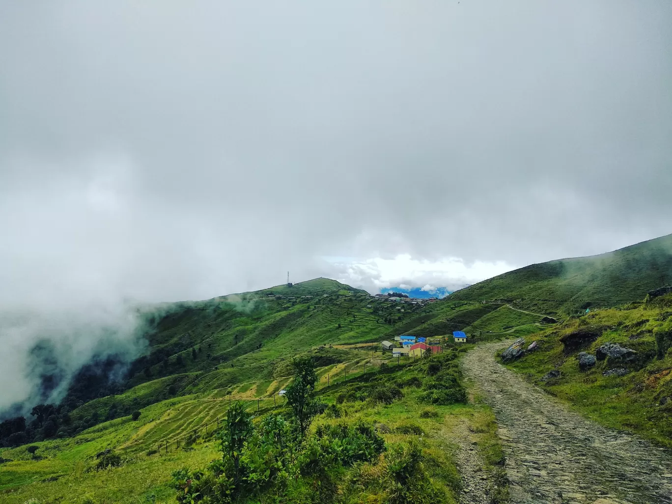 Photo of Sandakphu By aTravelerlife