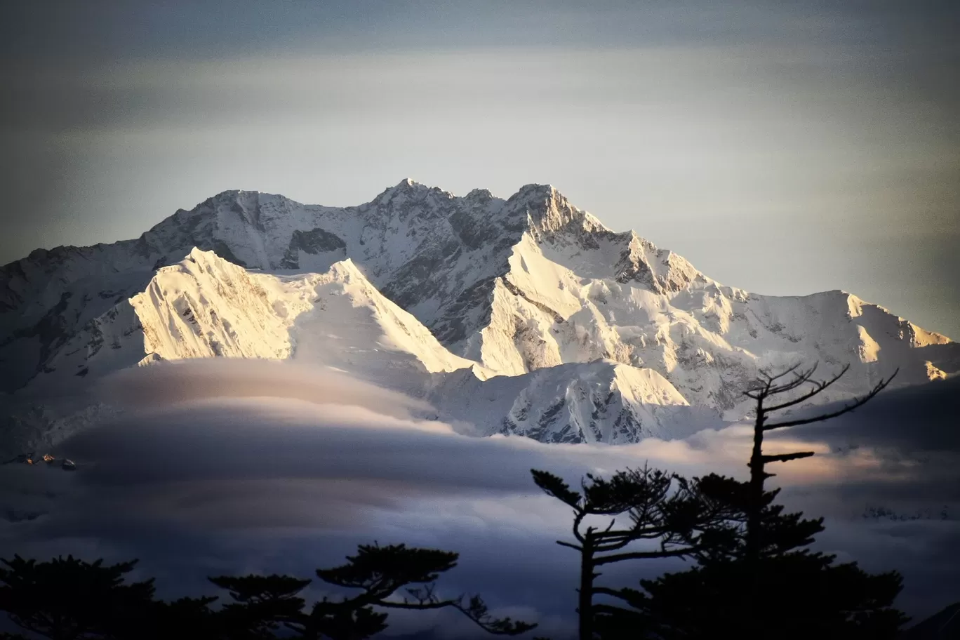 Photo of Sandakphu By aTravelerlife