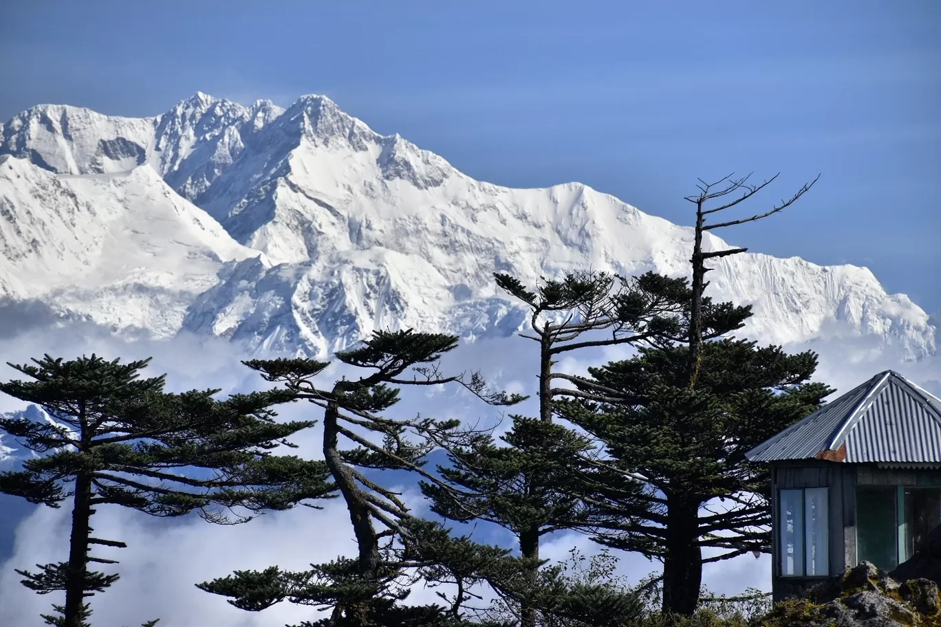 Photo of Sandakphu By aTravelerlife