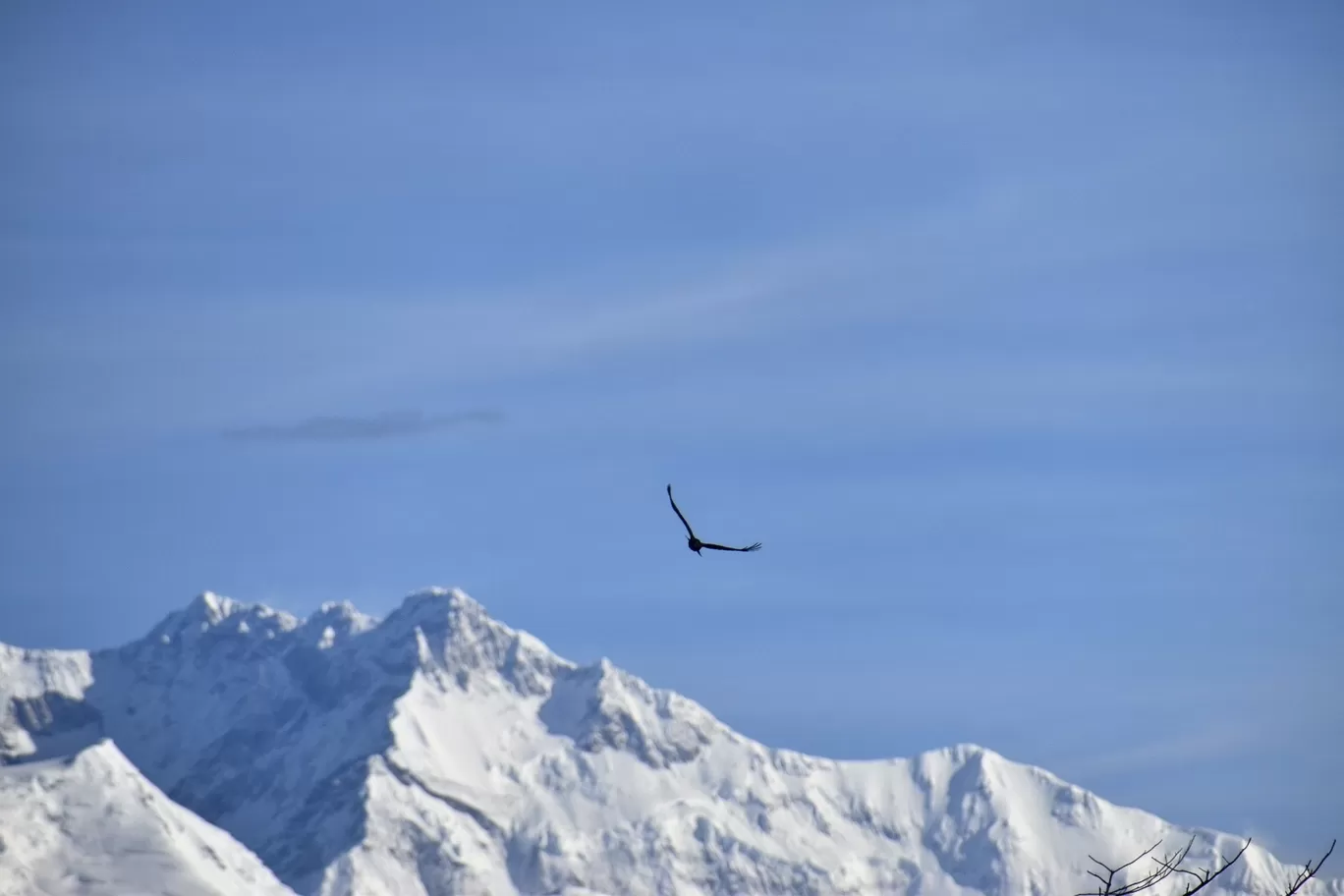 Photo of Sandakphu By aTravelerlife