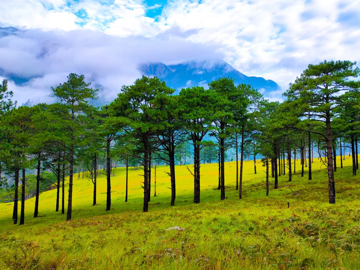 Photo of Dong By Priyanku Gohain