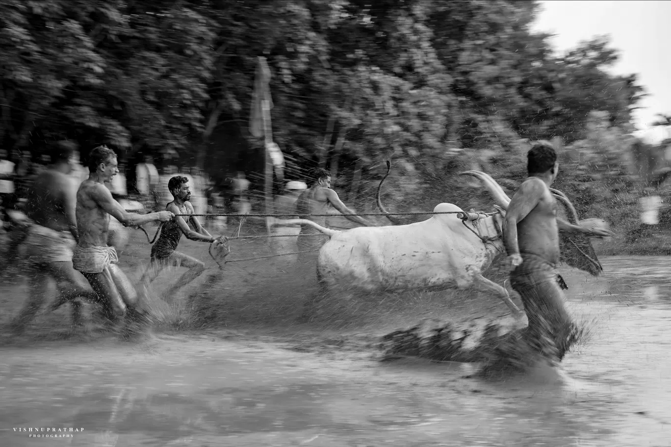 Photo of Kerala By Vishnu Prathap Anchal