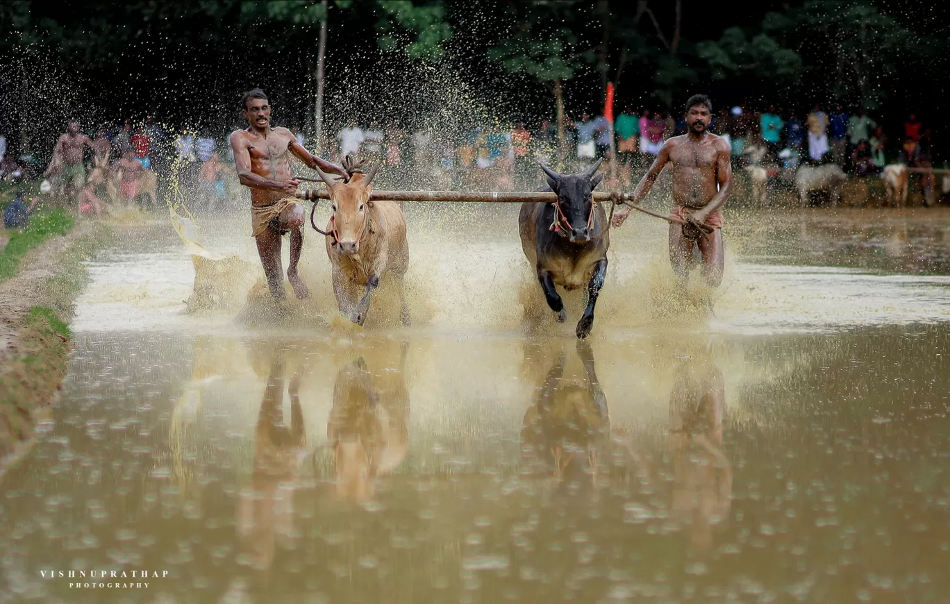 Photo of Kerala By Vishnu Prathap Anchal