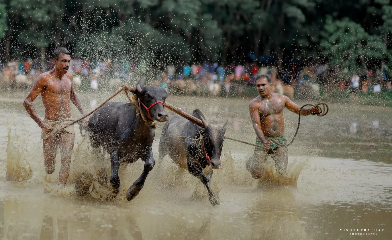 Photo of Kerala By Vishnu Prathap Anchal