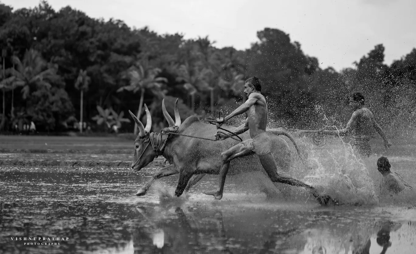 Photo of Kerala By Vishnu Prathap Anchal